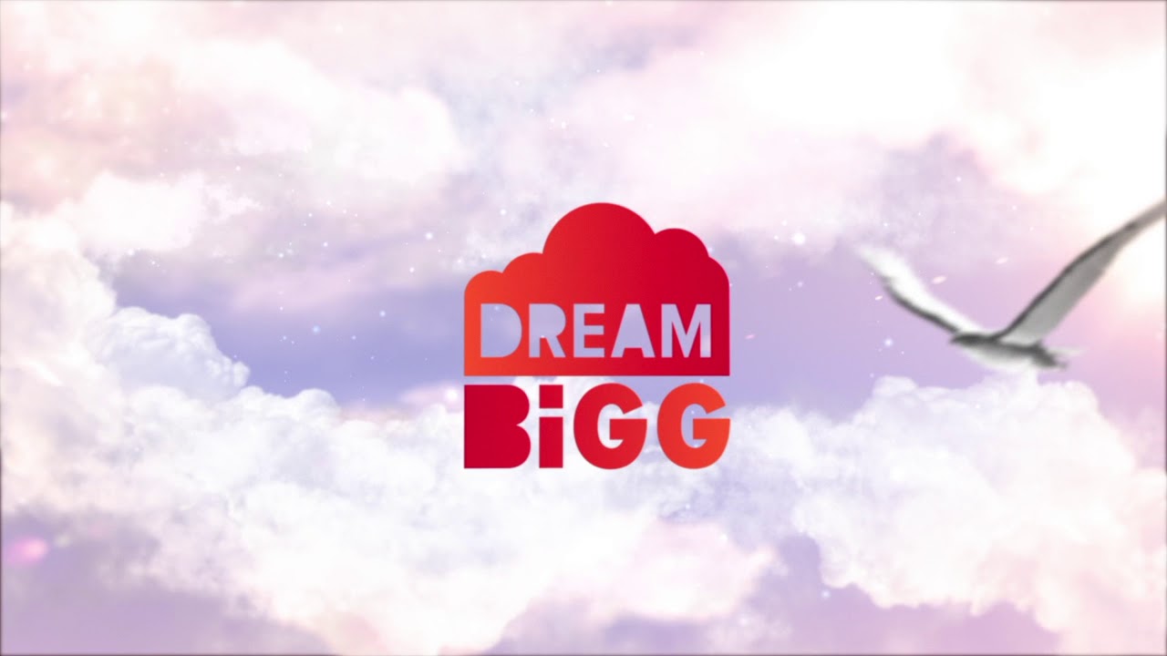 dreambigg